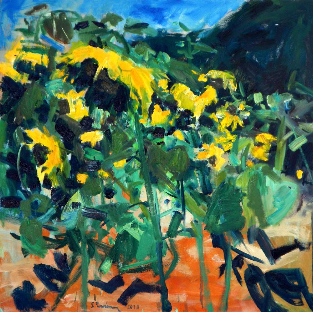 Susanne Purviance - Sonnenblumen, 80x80 cm, Öl auf Leinwand, 2013